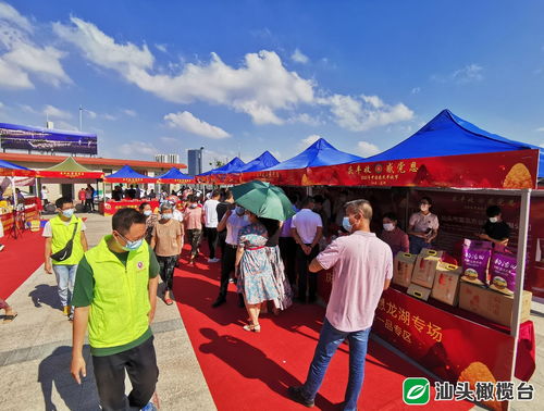 龙湖区农特产嘉年华 玉米肉丸果酒飘香，体验式拓展乐趣无穷