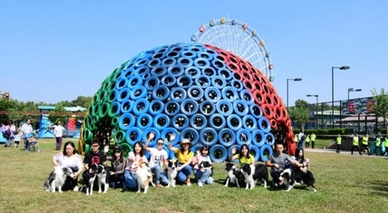 同风文化 一站式定制化体验式拓展活动与策划专家